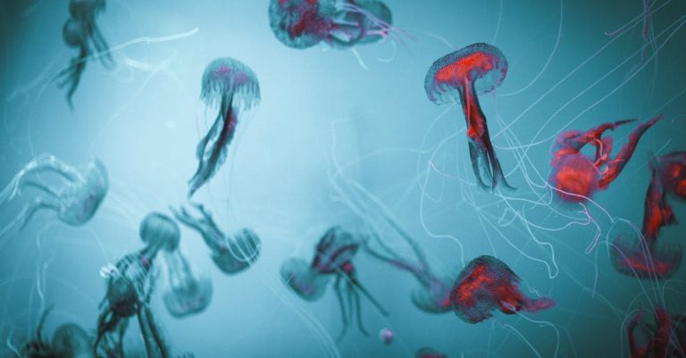 découvrez hypnotic poison, le parfum envoûtant qui mêle mystère et séduction pour une expérience olfactive unique.