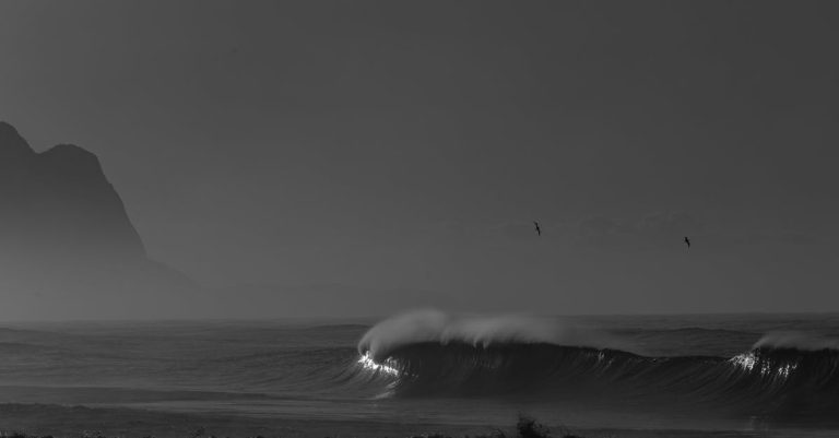 découvrez le mouvement slow beauty : une approche naturelle et éthique de la beauté, centrée sur le bien-être, la durabilité et les soins respectueux de la peau.